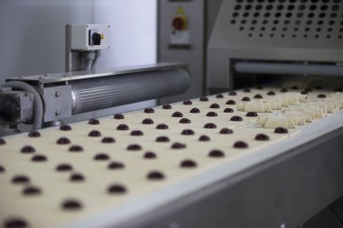 Kurabiye Pişirme için endüstriyel satır. Toptan profesyonel ürünler imalatı, mutfak