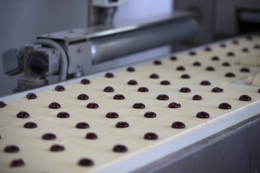 Kurabiye Pişirme için endüstriyel satır. Toptan profesyonel ürünler imalatı, mutfak