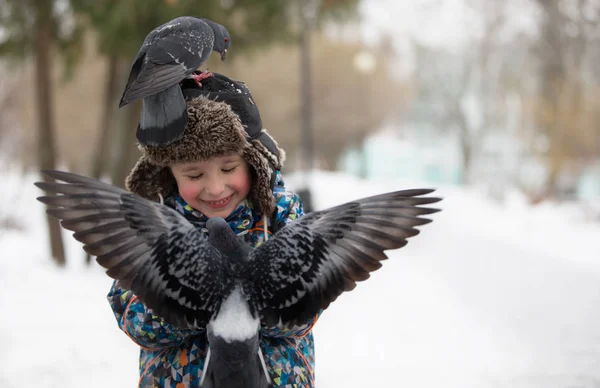 Bir çocuk bir kış eli güvercinler beslenir. Besleme birds.