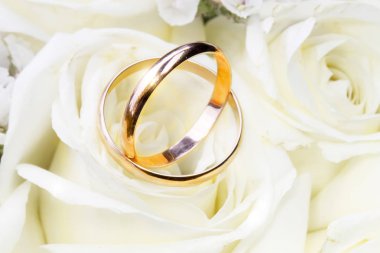 Beyaz güllerin arka planında alyanslar. Evlilik kavramı..