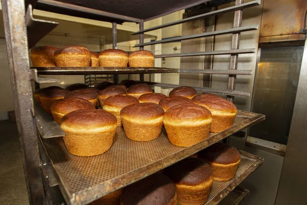 Industrielle Produktion Von Brot Jede Menge Backwaren Auf Paletten Frisch — Stockfoto