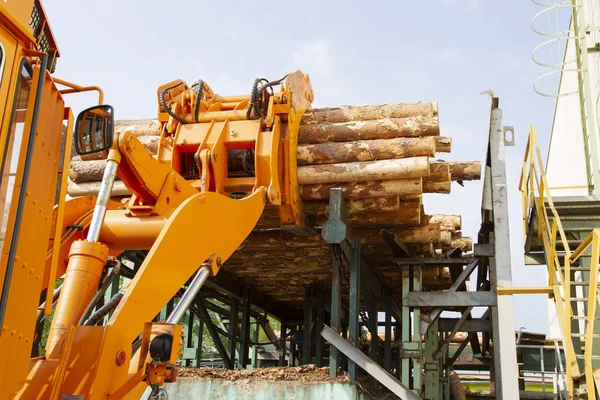 Przemysł Drzewny Ładowarka Kłodami Przemysł Przetwórstwa Drewna — Zdjęcie stockowe