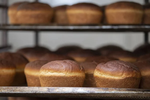 Industrial production of bread. Lots of baked goods on pallets. Freshly baked bun. Bakery