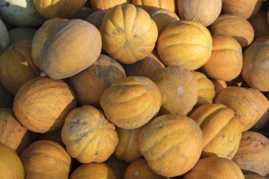 Arka planda bir sürü sarı kavun