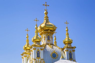 Rusya, Peterhof, 27 Temmuz 2019. Büyük Peter 'ın saray bölgesi. Altın kilise kubbeleri.