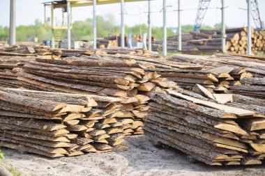 Ağaç işleme tesisi. Ahşap işleme sanayi