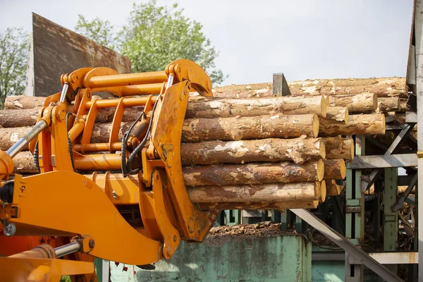 Indústria Processamento Madeira Carregador Com Logs Processamento Industrial Madeira — Fotografia de Stock