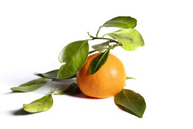 Beyaz arka planda yaprakları olan Mandarin. Güzel meyve.
