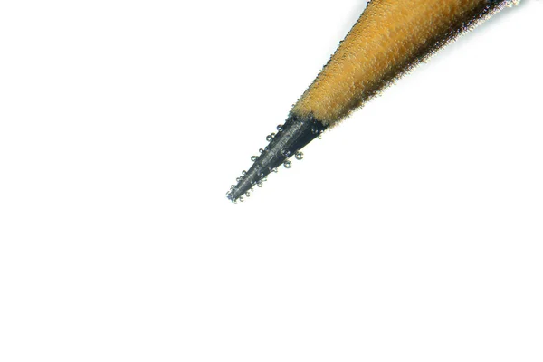 Pencil Close Drops Water White Background — Stock Photo, Image