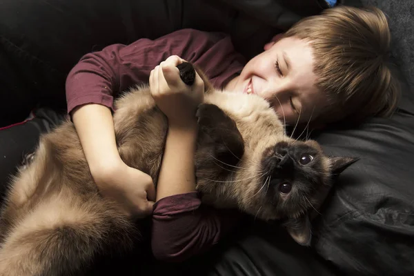 Uma Criança Com Animal Menino Está Brincando Com Gato — Fotografia de Stock
