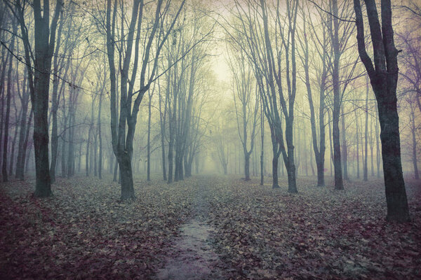 A spooky landscape of an abandoned park with bare trees.