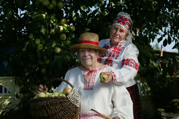 刺繍シャツの高齢者スラブカップル リンゴのバスケットと民族衣装の祖父と女性 収穫とベラルーシの年金受給者 庭のウクライナの高齢者 — ストック写真