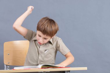 Bir ilkokul öğrencisi ev ödevi yapıyor. Resepsiyondaki ders kitabı olan çocuk kızgın. Çocuk ders çalışmak istemiyormuş. Yedi yaşındaki bir çocuk derslere bayılıyor..