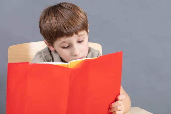 Das Kind Tisch Macht Hausaufgaben Ein Grundschüler Liest Ein Lehrbuch — Stockfoto