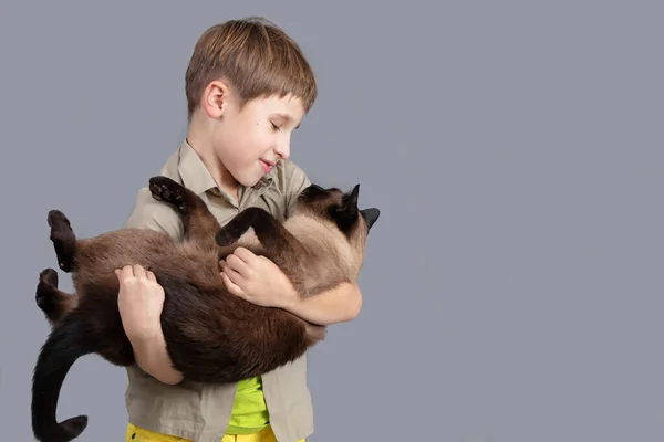 Porträtt Ett Barn Med Katt Pojke Med Siamesisk Katt — Stockfoto