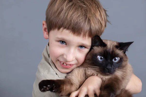 一个小孩和一只猫的肖像 一个带着暹罗猫的男孩 — 图库照片