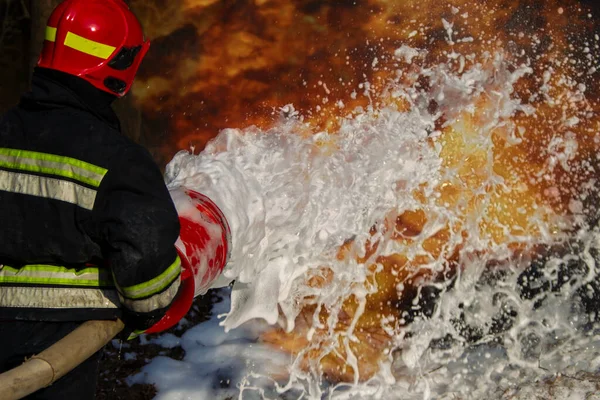 Los Bomberos Extinguyen Incendio Espuma Fuego Fuego —  Fotos de Stock