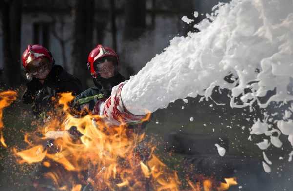 Feuerwehrleute Löschen Einen Brand Rettungsschwimmer Mit Feuerwehrschläuchen Rauch Und Feuer — Stockfoto