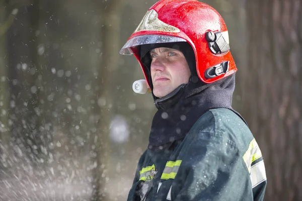 Strażacy Gaszą Pożar Strażak Lesie — Zdjęcie stockowe