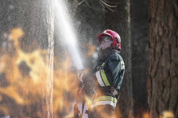 Pemadam Kebakaran Memadamkan Api Seorang Pemadam Kebakaran Hutan Terbakar — Stok Foto