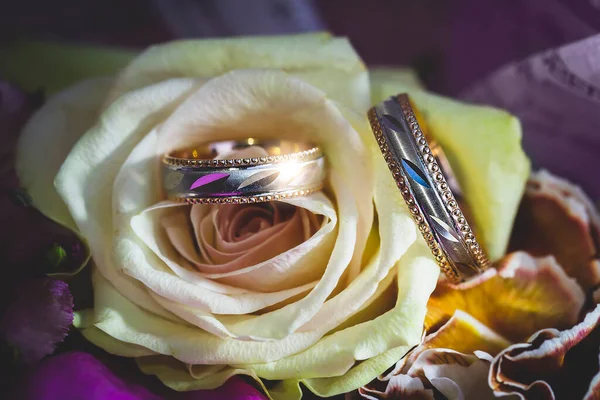 Anéis Casamento Uma Rosa Branca — Fotografia de Stock