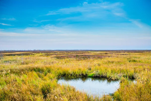 Arctic Bataklıkta Yamal — Stok fotoğraf