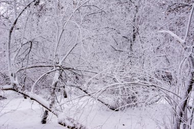 Winte. Karamzin Ssquare. Ulyanovsk.