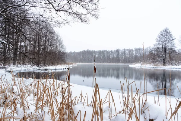 Lagos azuis famosos de origem cárstica. Os lagos azuis não congelam no inverno e se alimentam de águas subterrâneas. Água e lagos de lama estão curando de uma variedade de doenças. Lagos Rússia, Kazan . — Fotografia de Stock