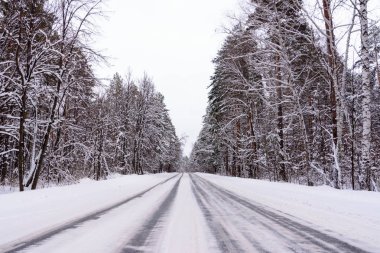 Kış otobanı üzerindeki şablonlar dört düz çizgi şeklinde. Karla kaplı ormanın arka planında karlı bir yol. Kış manzarası.