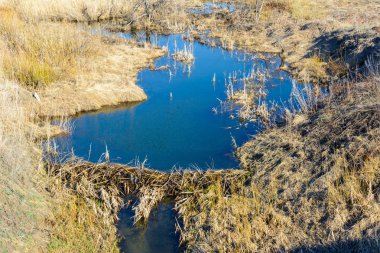 Uzun zamandır beklenen ilkbahar dereleri güneşli vadilerin ve tepelerin üzerinden akıyor.
