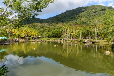 Tropikal bölgede, gölün yüzeyindeki taşlardan köprü. 