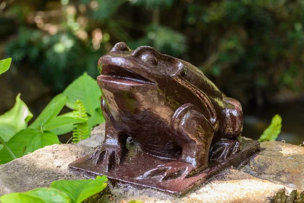 Het beeldje van een kikker in het tropische woud in Yanoda Park, S — Stockfoto