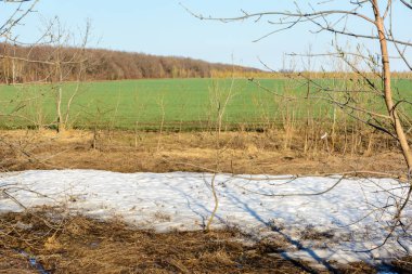 Uzun zamandır beklenen bahar mevsimi. Eşsiz bir doğa olayı, kar ve g