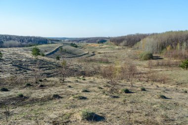 Güzel bahar manzara: ağaçlar, orman, dağlar, tepeler, fie