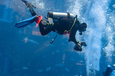 Scuba dalışlarındaki sualtı fotoğrafçıları. Kameralı dalgıçlar büyük akvaryumda çok sayıda balıkla çevrili. Atlantis, Sanya, Hainan, Çin.