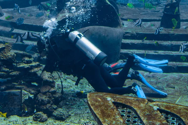 Fotografi subacquei in immersione. Tuffatori con macchina fotografica circondati da un gran numero di pesci nell'acquario enorme. Atlantide, Sanya, Hainan, Cina . — Foto Stock
