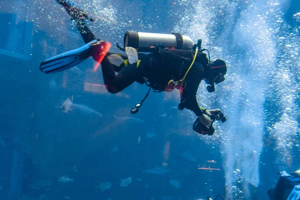 Fotógrafos subaquáticos em mergulhos. Mergulhadores com câmera cercada por um grande número de peixes no enorme aquário. Atlantis, Sanya, Hainan, China . — Fotografia de Stock