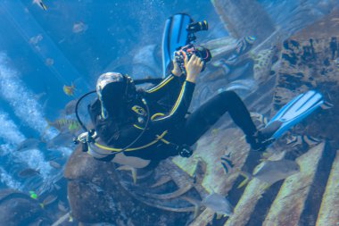 Scuba dalışlarındaki sualtı fotoğrafçıları. Kameralı dalgıçlar büyük akvaryumda çok sayıda balıkla çevrili. Atlantis, Sanya, Hainan, Çin.