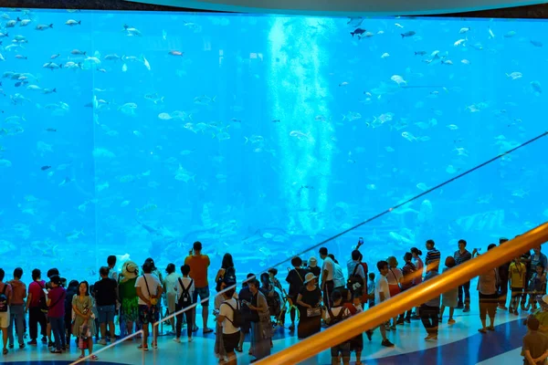 Uma grande variedade de peixes (mais de 500 espécies de peixes, tubarões, corais e moluscos) em um enorme aquário no Hotel Atlantis na ilha Hainan . — Fotografia de Stock