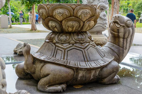 Sanya Hainan China February 2020 Patterned Stone Turtle Tub Water — ストック写真