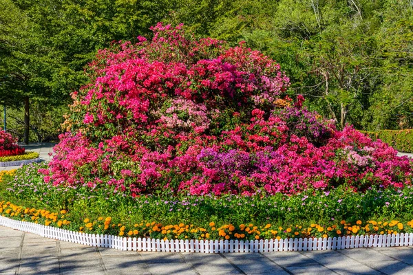 Parterres Fleurs Sur Pont Observation Près Parc Cerf Tourné Tête — Photo