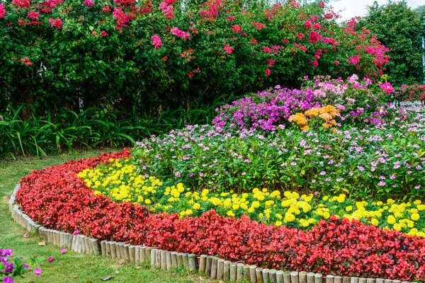 Gyönyörű Növényzet Fák Virágok Tavak Tavak Híres Trópusi Bai Gong — Stock Fotó