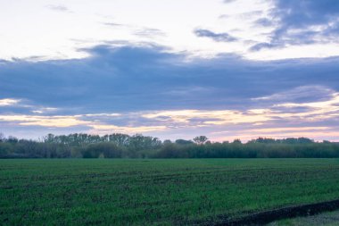 Güzel yaz manzarası: günbatımı, ağaçlar, taze yeşil çimenler, orman, tarlalar, çayırlar ve gökyüzü. Gün batımında ağır bulutları olan göz kamaştırıcı, kırmızı gökyüzü. Yazın başında.