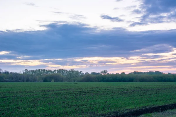 Güzel yaz manzarası: günbatımı, ağaçlar, taze yeşil çimenler, orman, tarlalar, çayırlar ve gökyüzü. Gün batımında ağır bulutları olan göz kamaştırıcı, kırmızı gökyüzü. Yazın başında.