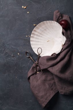 Deniz kabuğu, Erik, gri havlu