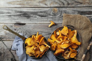 Chantarelle mantar sokup aldı 