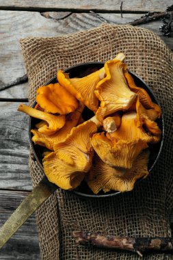 Chantarelle mantar kase aldı 