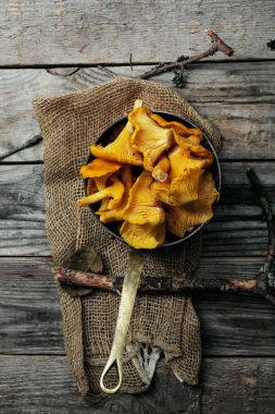 Chantarelle mantar kase aldı 