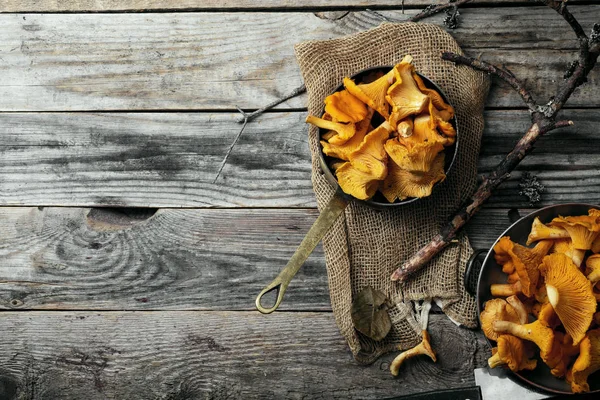 Champiñones de Chantarelle recogidos en cuencos — Foto de Stock