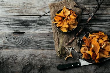 Chantarelle mantar aldı